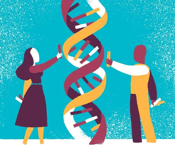 Genetics factor