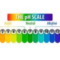 What Is the Hair pH and Why Is It Important?
