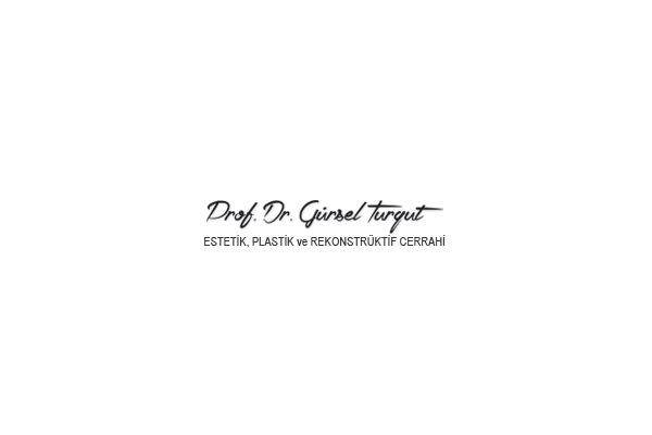Professor Dr. Gürsel Turgut