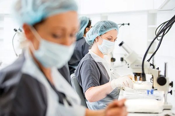 Doctors performing FUE hair graft