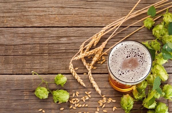 Bierhefe für Haargesundheit und Haarausfall