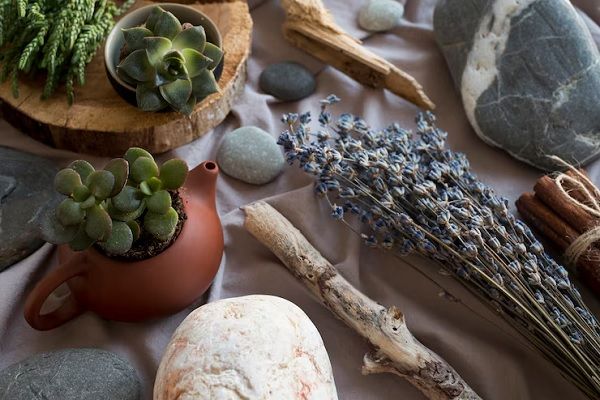Holistic and alternative therapies 2